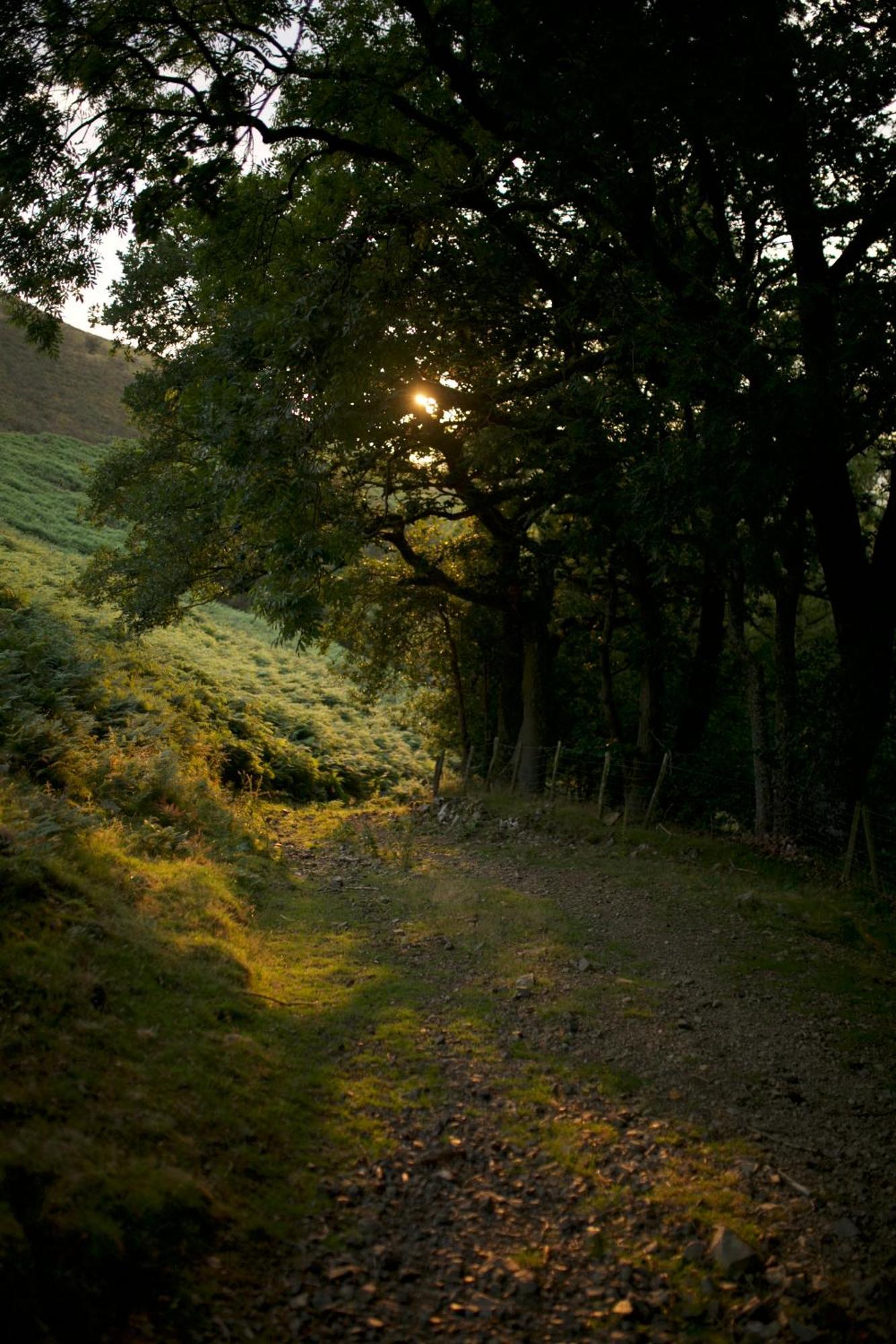 Two Unique Cabins Wrapped In Beautiful Welsh Scenery Presteigne Exteriör bild