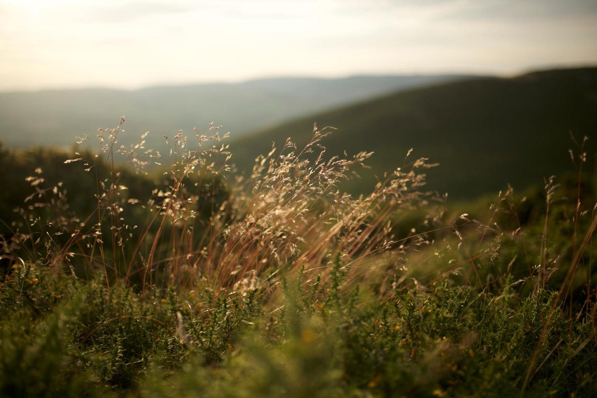 Two Unique Cabins Wrapped In Beautiful Welsh Scenery Presteigne Exteriör bild